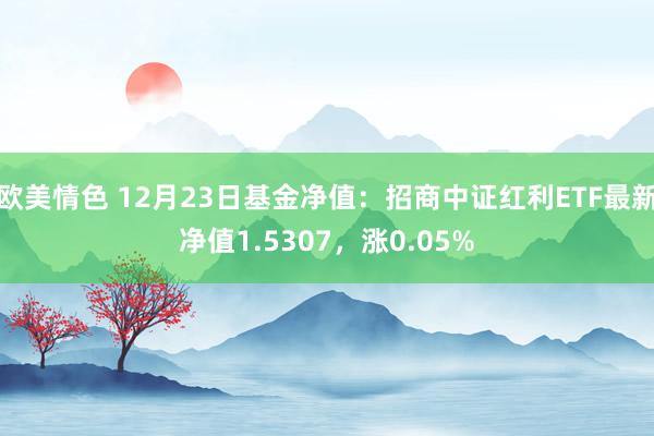 欧美情色 12月23日基金净值：招商中证红利ETF最新净值1.5307，涨0.05%