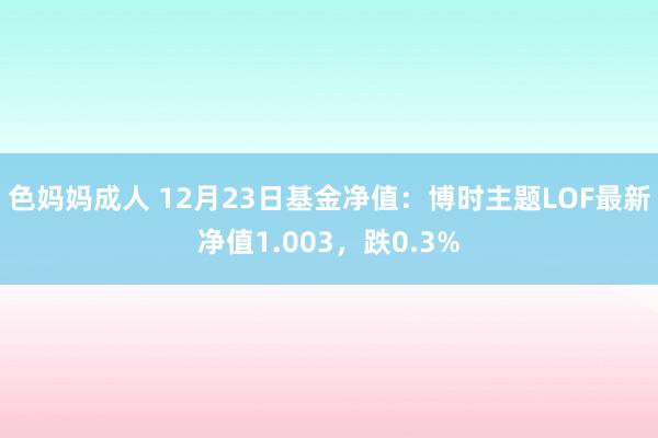 色妈妈成人 12月23日基金净值：博时主题LOF最新净值1.003，跌0.3%