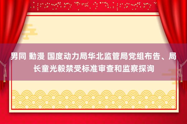 男同 動漫 国度动力局华北监管局党组布告、局长童光毅禁受标准审查和监察探询