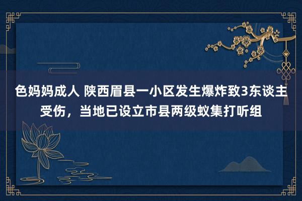 色妈妈成人 陕西眉县一小区发生爆炸致3东谈主受伤，当地已设立市县两级蚁集打听组