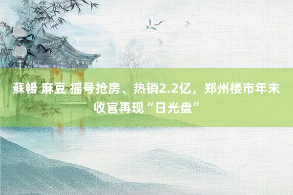 蘇暢 麻豆 摇号抢房、热销2.2亿，郑州楼市年末收官再现“日光盘”