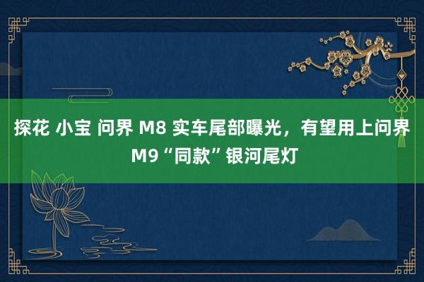 探花 小宝 问界 M8 实车尾部曝光，有望用上问界 M9“同款”银河尾灯