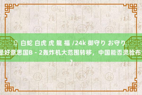 ✨白蛇 白虎 虎 龍 福 /24k 御守り お守り 要是好意思国B－2轰炸机大范围转移，中国能否灵验布置？