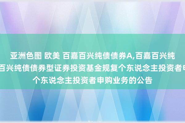 亚洲色图 欧美 百嘉百兴纯债债券A，百嘉百兴纯债债券C: 百嘉百兴纯债债券型证券投资基金规复个东说念主投资者申购业务的公告