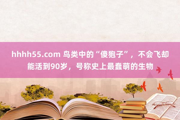 hhhh55.com 鸟类中的“傻狍子”，不会飞却能活到90岁，号称史上最蠢萌的生物