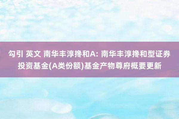 勾引 英文 南华丰淳搀和A: 南华丰淳搀和型证券投资基金(A类份额)基金产物尊府概要更新