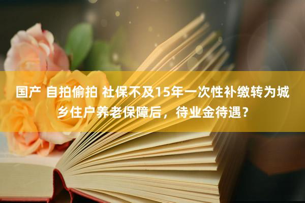 国产 自拍偷拍 社保不及15年一次性补缴转为城乡住户养老保障后，待业金待遇？