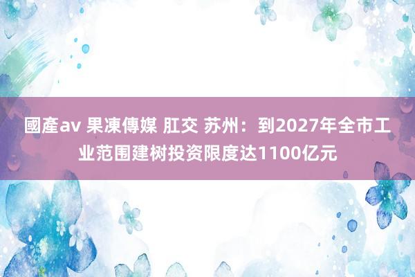 國產av 果凍傳媒 肛交 苏州：到2027年全市工业范围建树投资限度达1100亿元