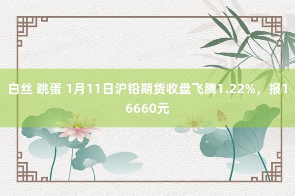 白丝 跳蛋 1月11日沪铅期货收盘飞腾1.22%，报16660元