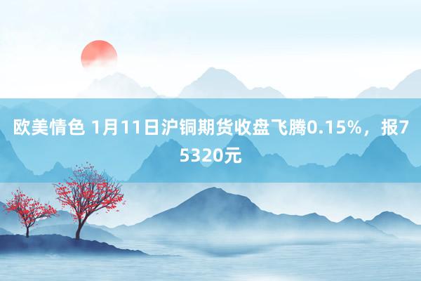 欧美情色 1月11日沪铜期货收盘飞腾0.15%，报75320元