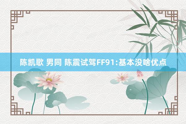 陈凯歌 男同 陈震试驾FF91:基本没啥优点