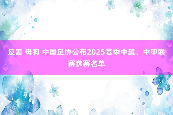 反差 母狗 中国足协公布2025赛季中超、中甲联赛参赛名单